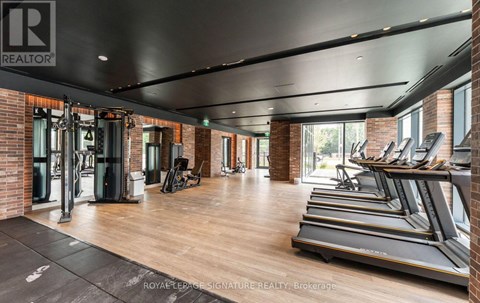 A gym with treadmills and exercise equipment.