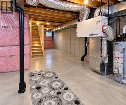 A room with a LIFEBREATH air purifier and a rug with circles on it.