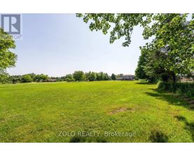 A lush green field with trees and a clear sky.