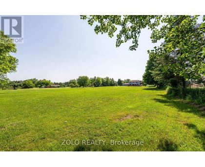 A lush green field with trees and a clear sky.