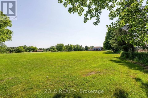 A lush green field with trees and a clear sky.