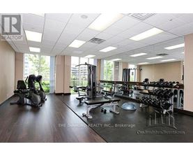 A gym with a variety of equipment including treadmills, weights and exercise machines.