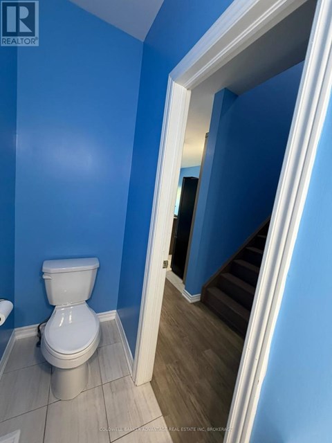 A white toilet in a room with blue walls.
