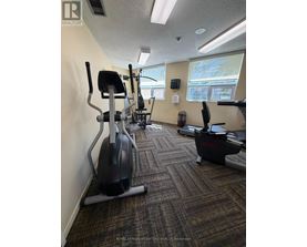 A gym with a row of treadmills and elliptical machines.