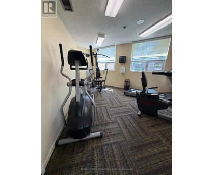 A gym with a row of treadmills and elliptical machines.
