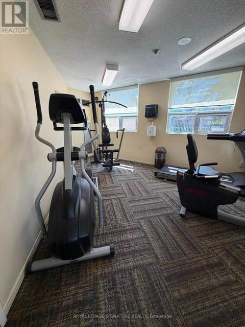 A gym with a row of treadmills and elliptical machines.