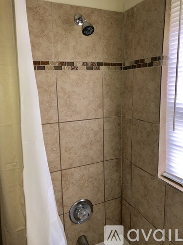 A shower area with a curtain and a shower head.