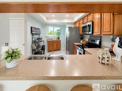 A kitchen with wooden cabinets and a countertop with a plant on it.