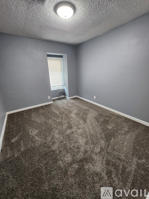 A room with grey walls and a carpeted floor.