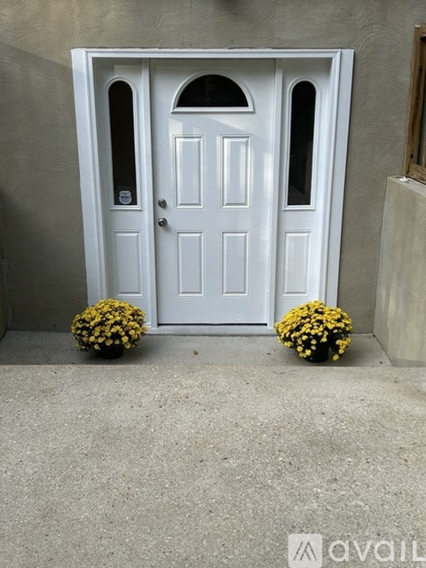 A white door with a grey wall and two yellow flowers on the ground.
