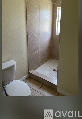 A bathroom with a toilet and a walk in shower.