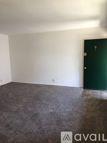 A room with a green door and grey carpet.