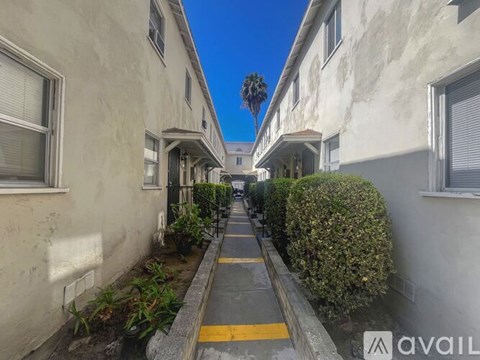 A narrow street between two buildings with a yellow line down the middle.