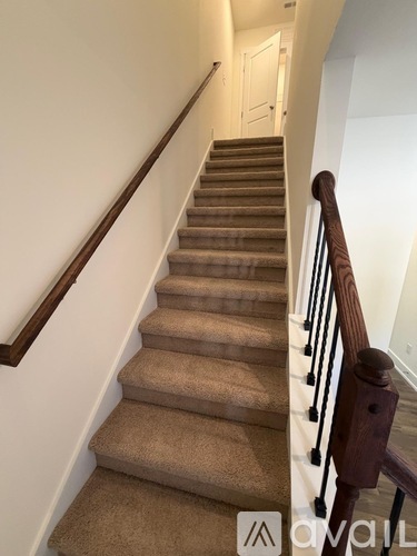 A staircase with beige carpeted steps and dark wooden handrails.