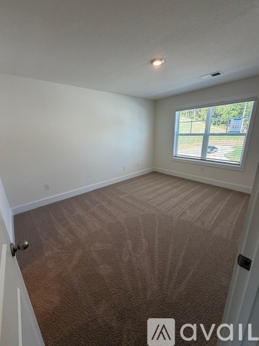 A room with a brown carpet and a window showing a view of a street.