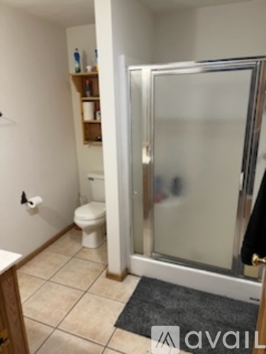 A bathroom with a toilet, a sink and a walk in shower.