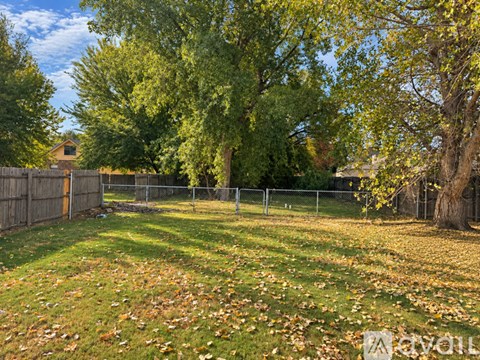 A backyard with a fence and trees.