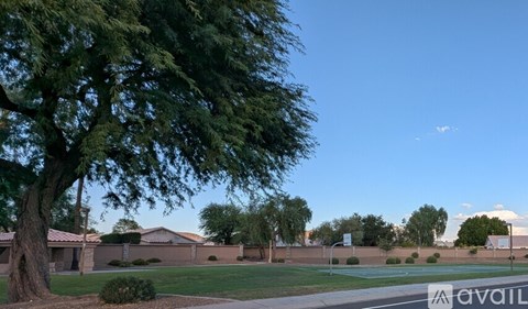 A tree in the foreground with a building in the background.