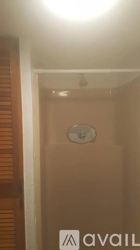 A bathroom with a toilet and a wooden door.