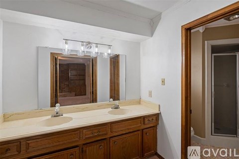 A bathroom with a double sink vanity and a large mirror.