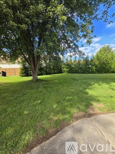 A tree in a grassy area with a house in the background.