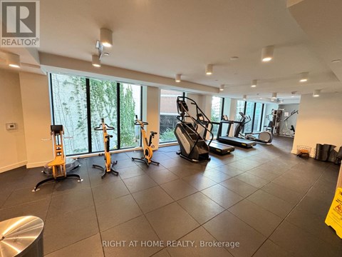 A gym with a variety of equipment including a treadmill, a stationary bike, a rowing machine, and a weight bench.