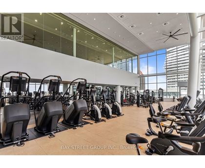 A gym with a row of stationary bikes.