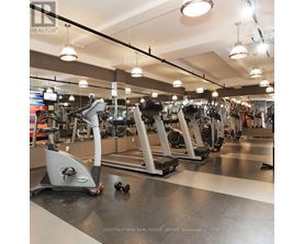A gym with treadmills and elliptical machines.