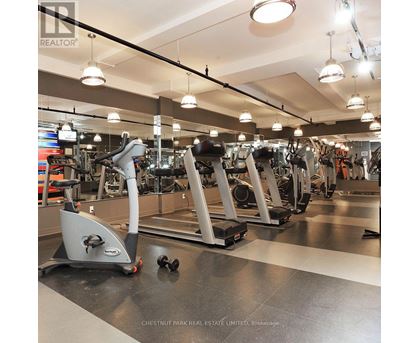 A gym with treadmills and elliptical machines.