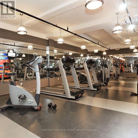 A gym with treadmills and elliptical machines.