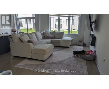 A living room with a couch, a dog, and a television.