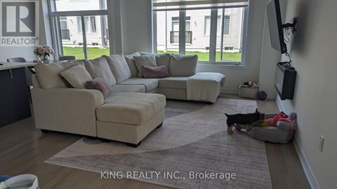 A living room with a couch, a dog, and a television.
