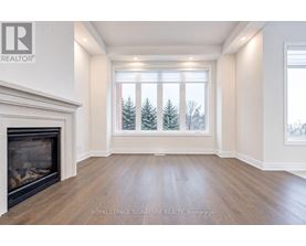 A large, empty room with a fireplace and a view of trees outside the window.