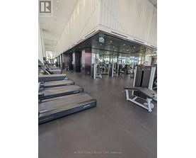 A gym with treadmills and weights.