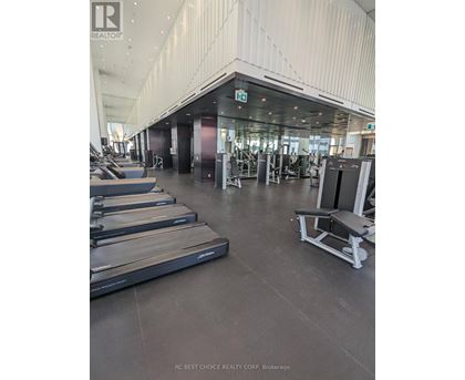 A gym with treadmills and weights.