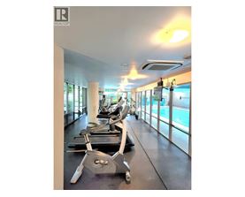A gym with treadmills and exercise equipment.