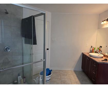 A bathroom with a glass shower door and a white sink.