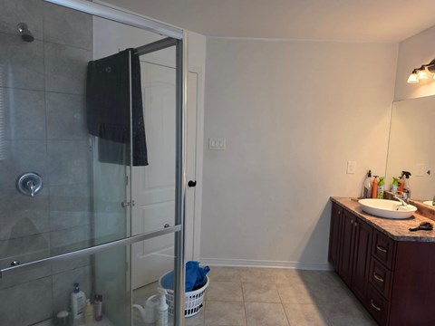A bathroom with a glass shower door and a white sink.