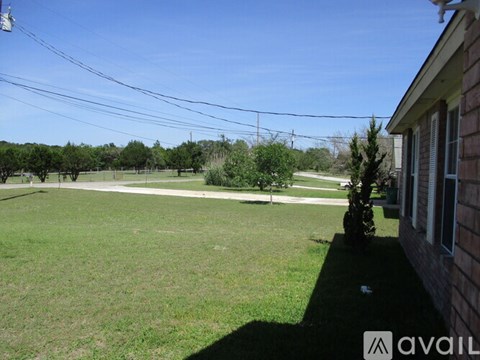A backyard with a lawn and a house.