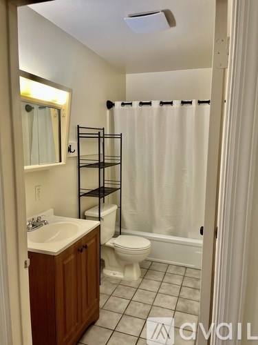 A bathroom with a toilet, sink, and a shower curtain.