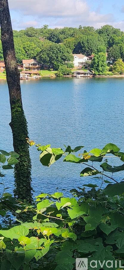 A tree trunk is in the foreground of a serene lake surrounded by lush greenery.