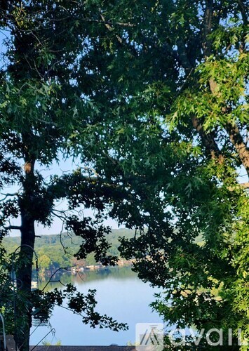 A serene lake surrounded by lush green trees.