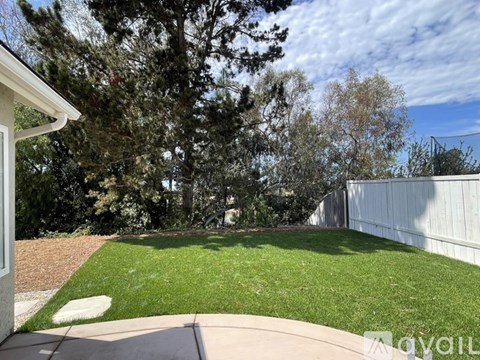 A backyard with a white fence and a tree.