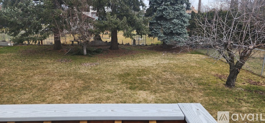 A backyard with a tree and grass.