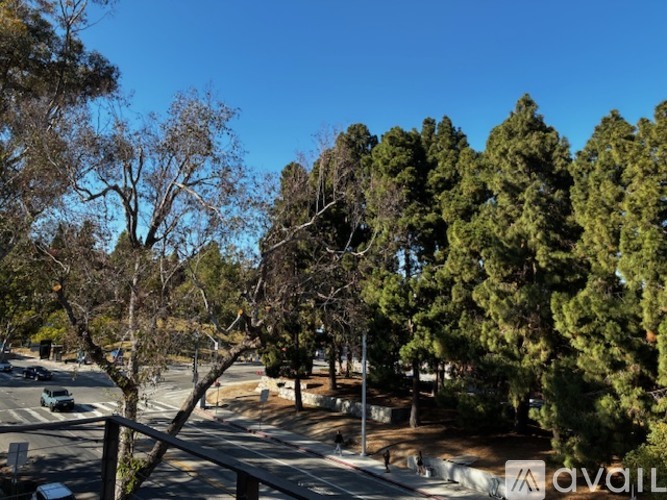 A tree-lined street with a clear blue sky above.