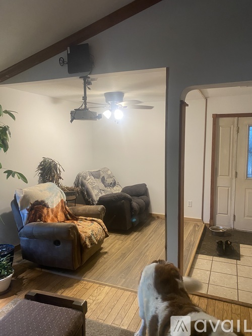 A dog is looking at a living room with a couch and a television.
