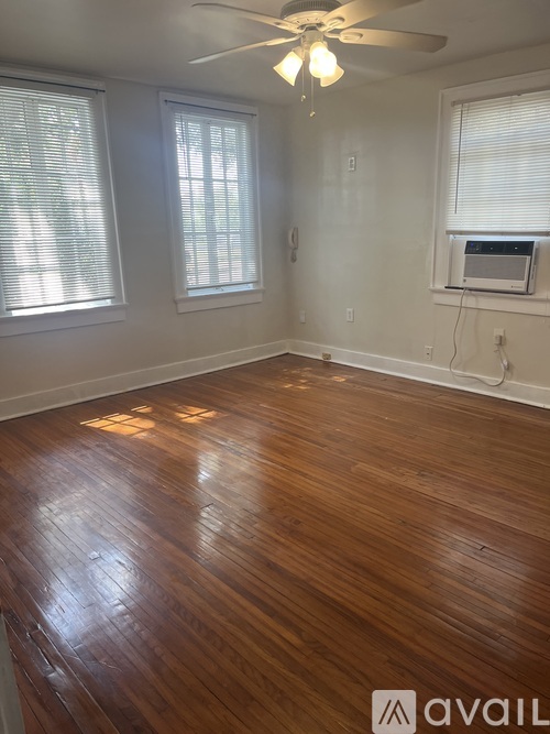 317 City Park Avenue Studio Apartment for Rent - Photo gallery 2