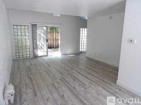 A dog is standing in a room with wooden floors and white walls.