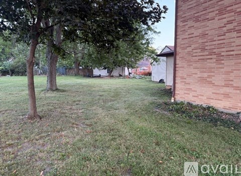 A tree in a yard with a house in the background.