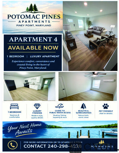 A flyer for Potomac Pines Apartments in Piney Point, Maryland, advertising Apartment 4 as a luxury apartment with one bedroom, luxury finishes, close to public water access, and beautiful